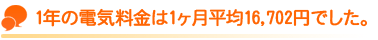 1年の電気料金は1ヶ月平均16,702円でした。